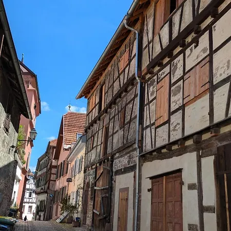 Am Waldrand Von Appartement